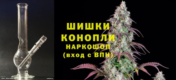 крисы Красноперекопск