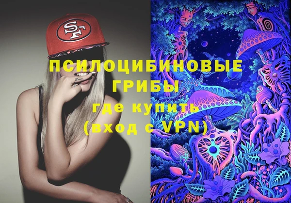 первитин Краснослободск